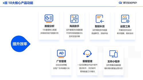 積加ERP 定制化解決方案，小賣家與中大賣家的差異化需求